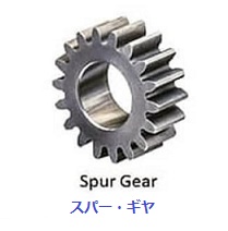 Spur gear